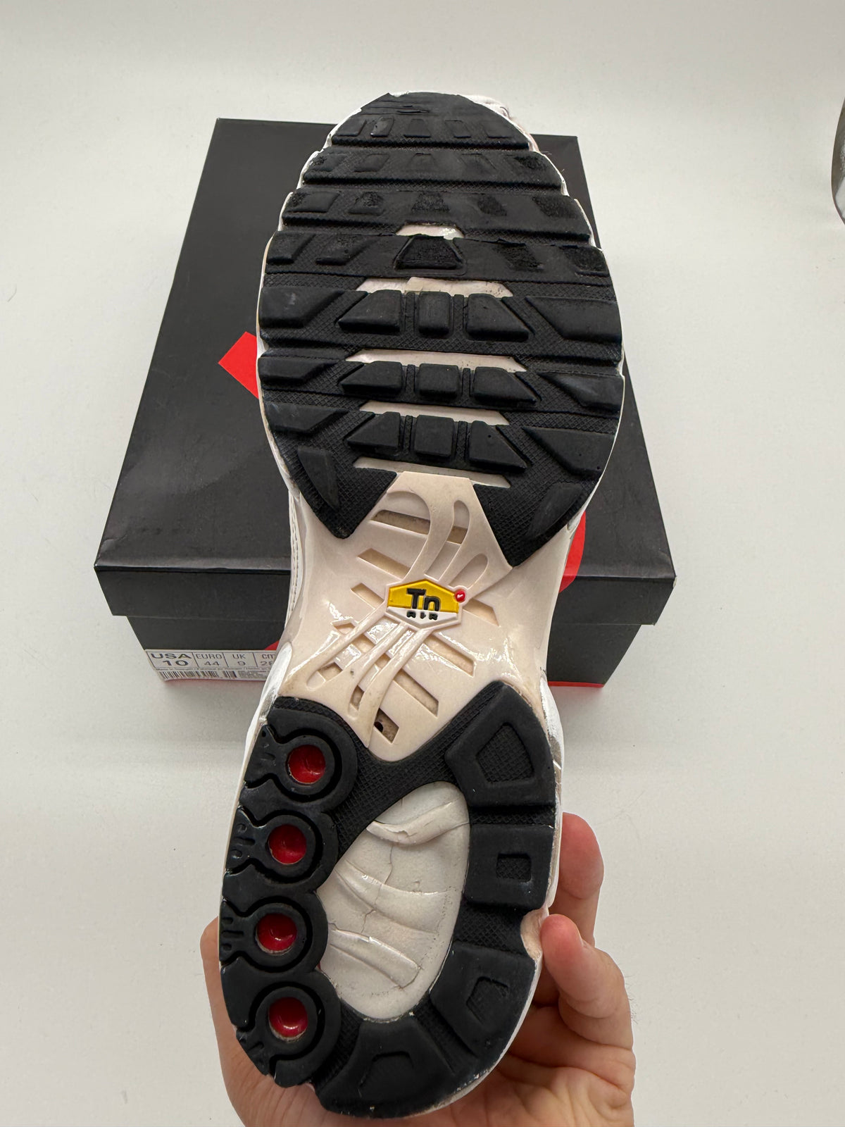 Nike Air Max Plus „Pure Platinum / Metallic“ EU 42